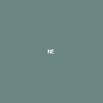 NetNut