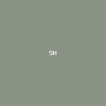 Shifter